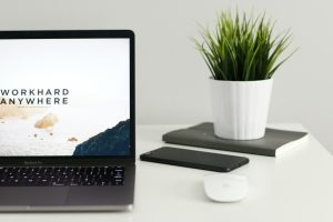 Building a Blog App with XAMPP, MySQL, phpMyAdmin, and NestJS