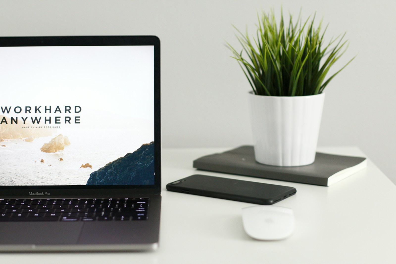 Interactive Websites