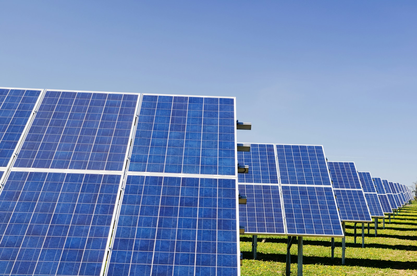 energy sector