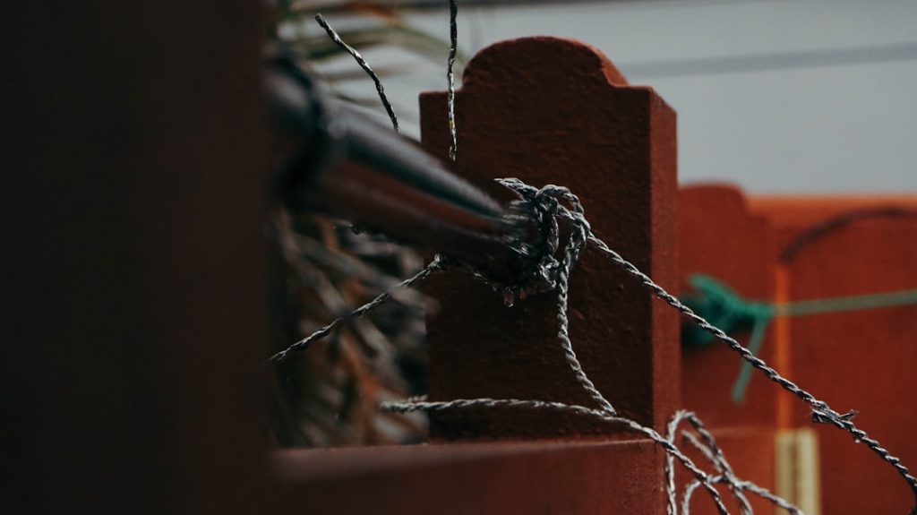 Cork Firms: Dev Centre House Blockchain Projects in Supply Chain