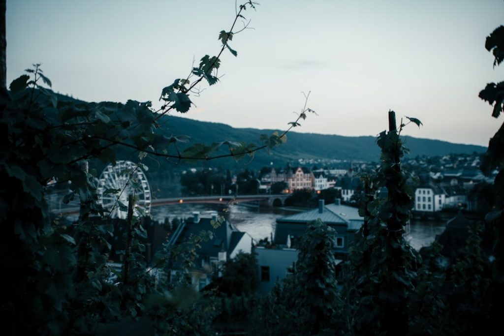 Bergen SMEs: How to Choose Between ERP and Custom Development