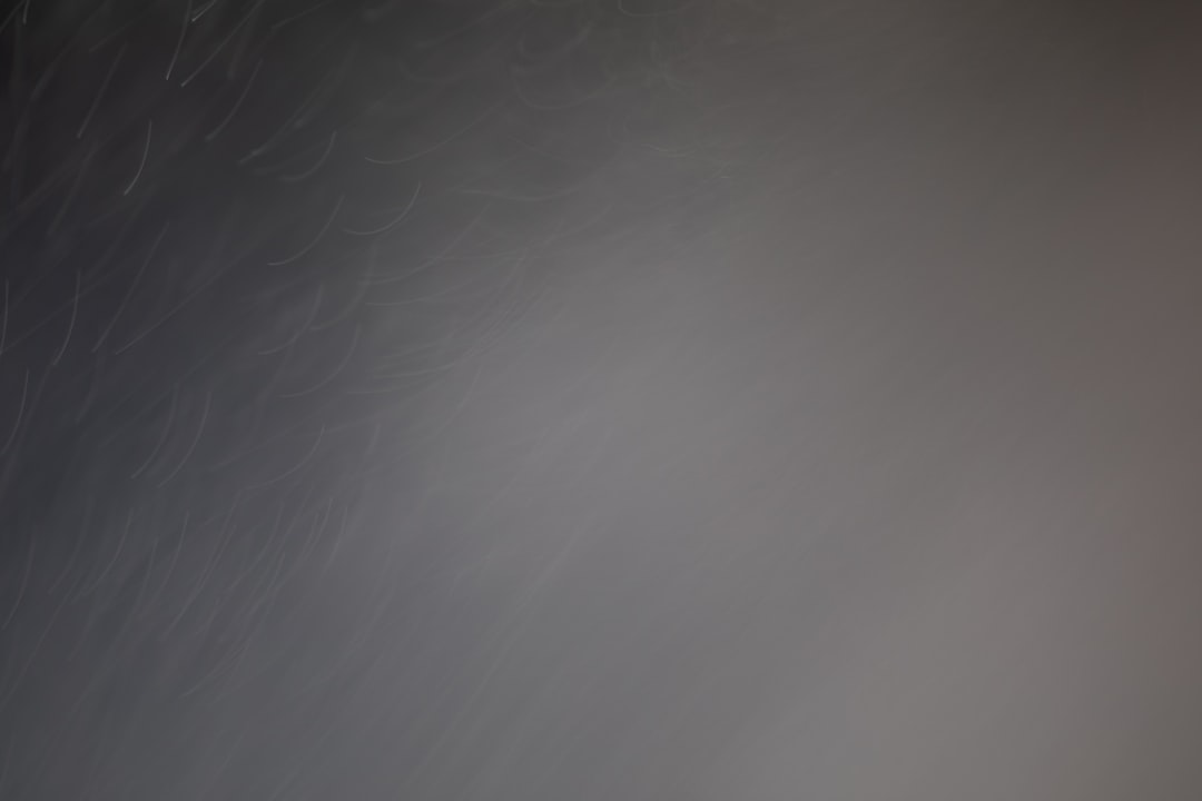 Trøndelag CIOs: Staff Augmentation Meets Cybersecurity Needs