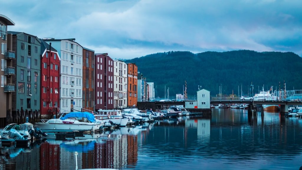 Norway’s Startups: Leveraging Big Data for Smarter Growth