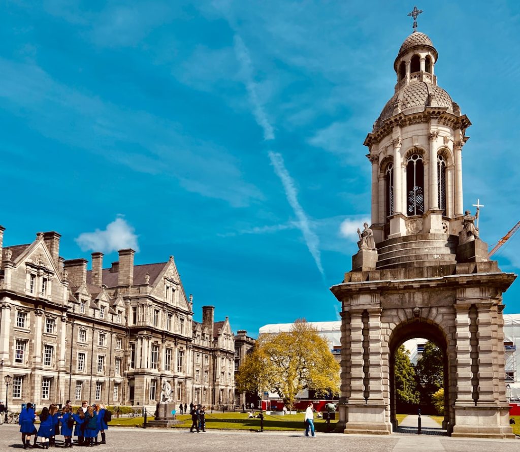 Five Questions Dublin SMEs Should Ask Before Hiring Web Developers